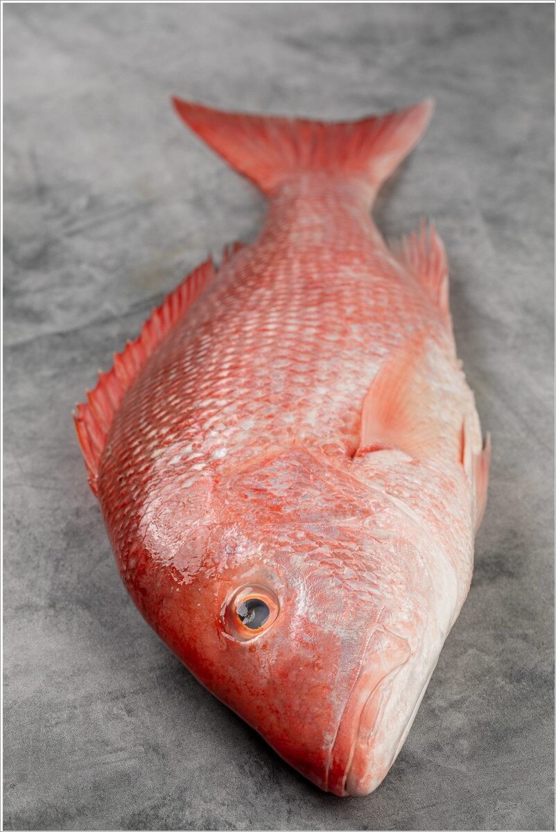 Snapper Lane whole cleaned (gg&s) 1.5-2.0 lbs/pc, Brazil-wild