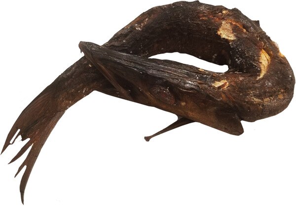 BARRACUDA KINNEY FISH SMOKED ASIKO
